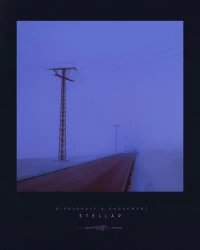 دانلود آهنگ -diedlonely |-stellar